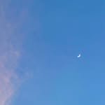 tzanranhat 프로필 사진