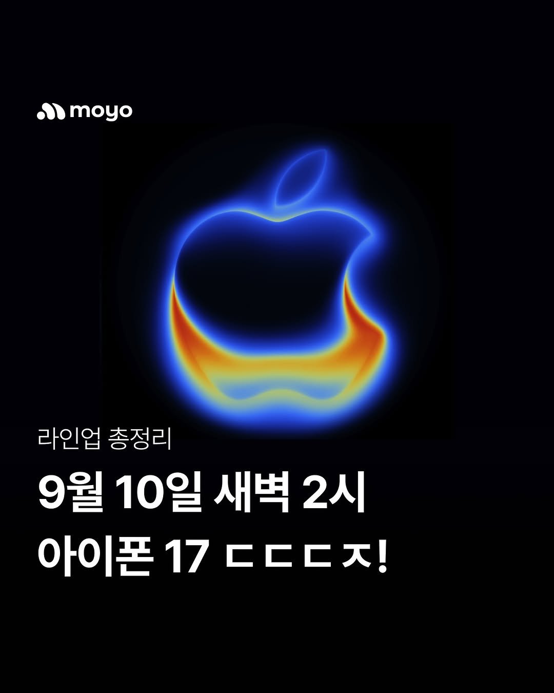 Photo by 모요 | 모두의요금제 on August 27, 2025.