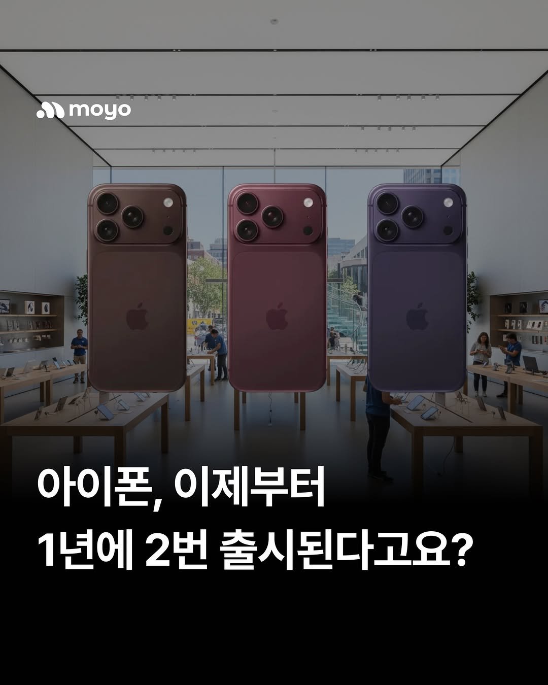Photo by 모요 | 모두의요금제 on December 24, 2025. May be an image of text that says 'o moyo 자도 아이폰, 이제부터 1년에 2번 출시된다고요?'.