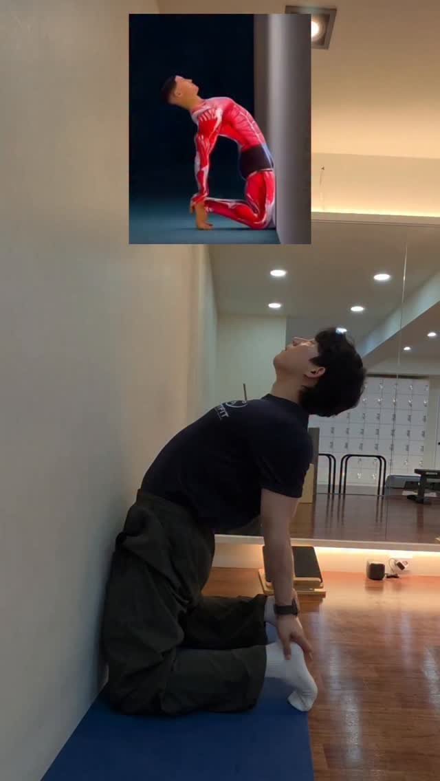 mrt_hsw 게시물 이미지: 이 동작 하나로 자세 밸런스가 달라집니다.

거북목 , 라운드숄더 , 골반 정렬까지...