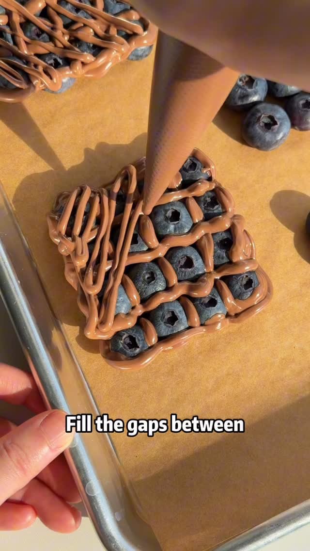 ms_shi_mr_he 게시물 이미지: Blueberry dry yogurt clusters 🫐🍫 #dryyogurt...