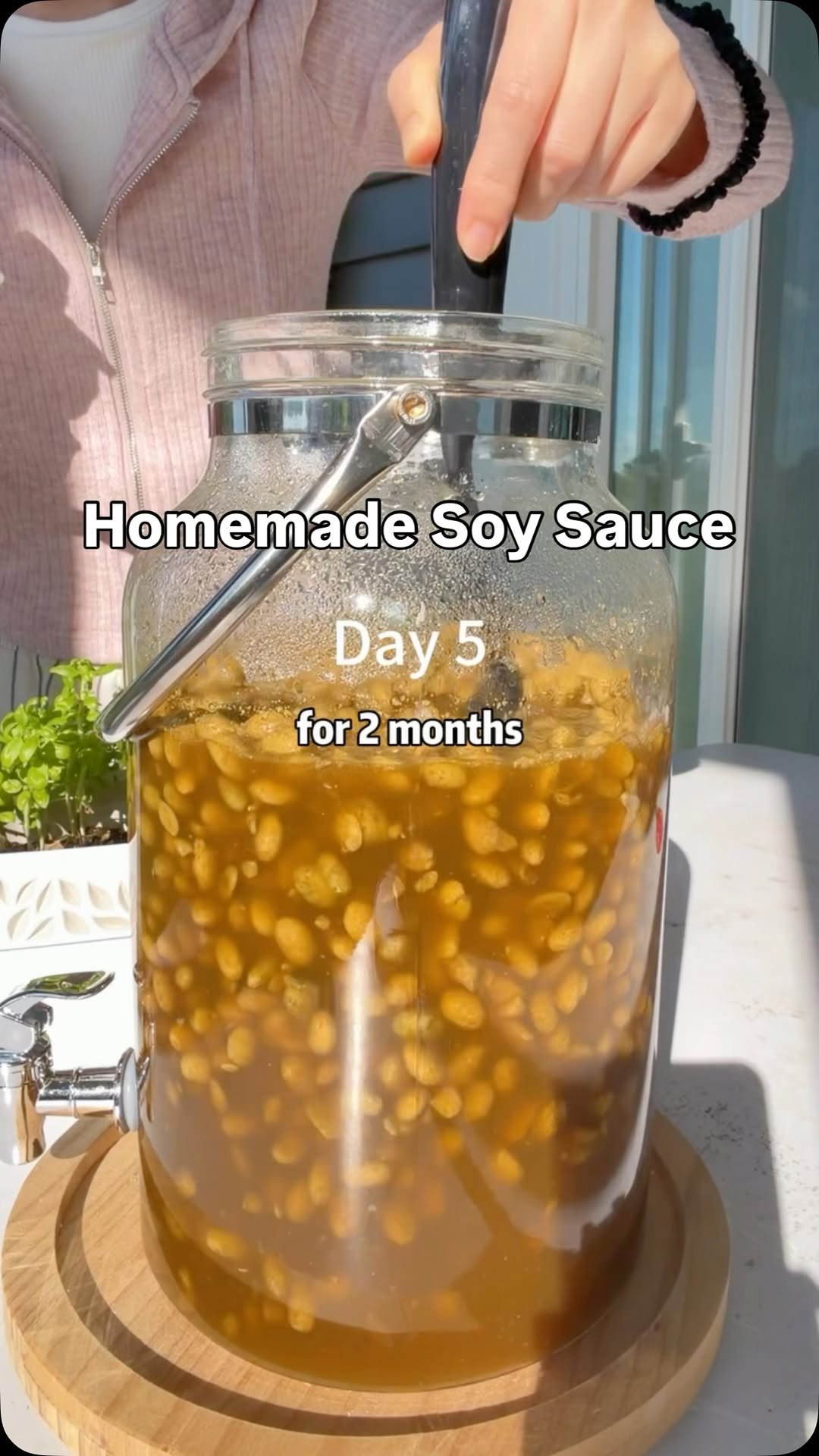 ms_shi_mr_he 게시물 이미지: Let’s Make Soy Sauce at Home 🍶☀️ #cooking...