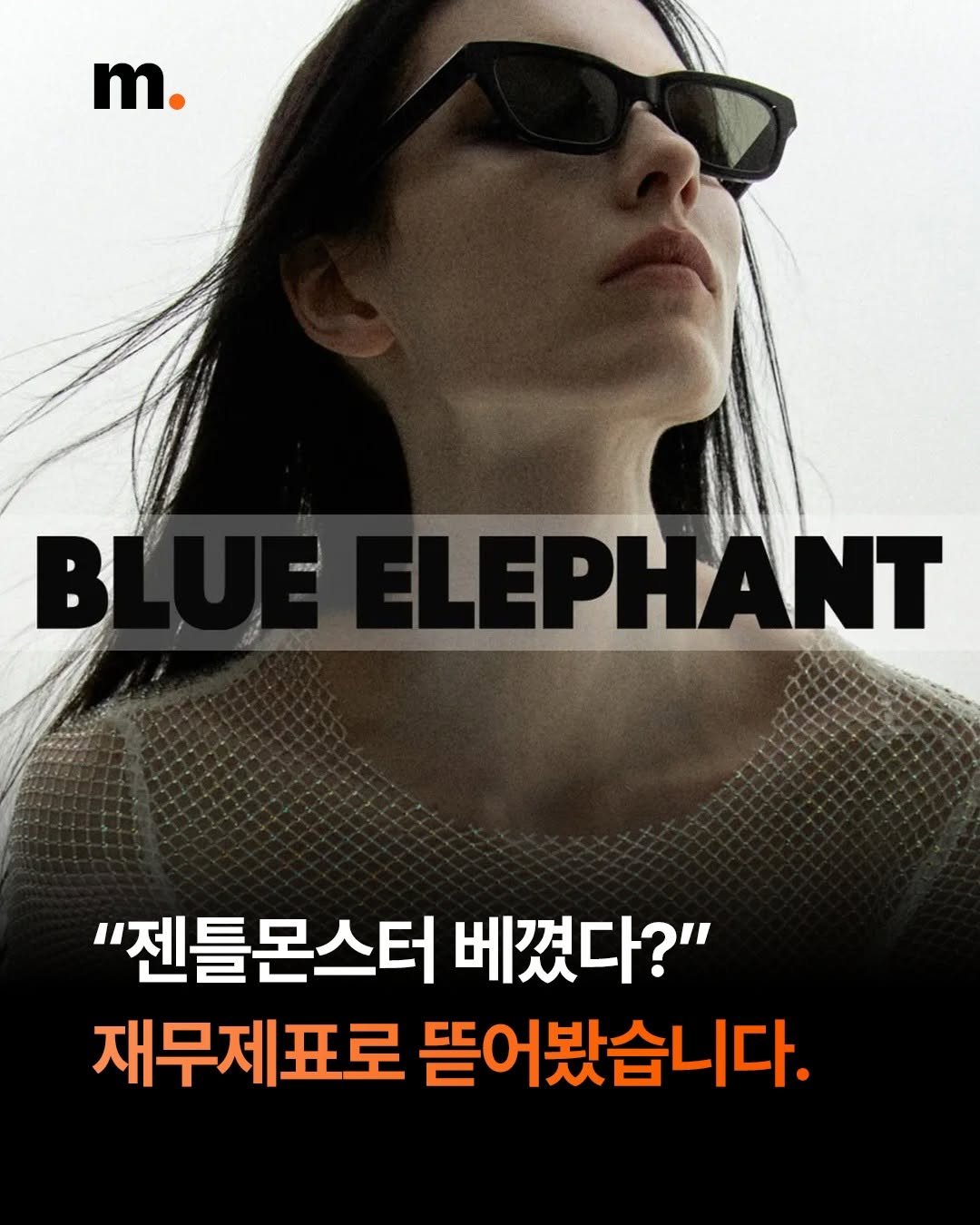mstacc 게시물 이미지: 👓 "젠틀몬스터 베꼈다?" 블루엘리펀트 재무제표, 직접 뜯어봤습니다.

젠틀몬스터의 ...
