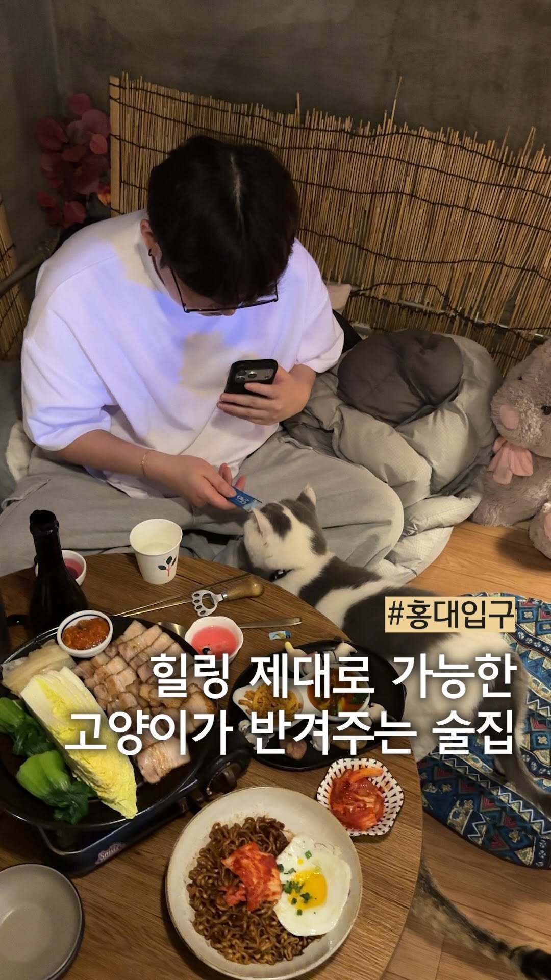 muck_peach_ 게시물 이미지: ::애교 천재 개냥이들과 합석 가능한 술집

들어가자마자 냥이들한테 마음 뺏겨버린...