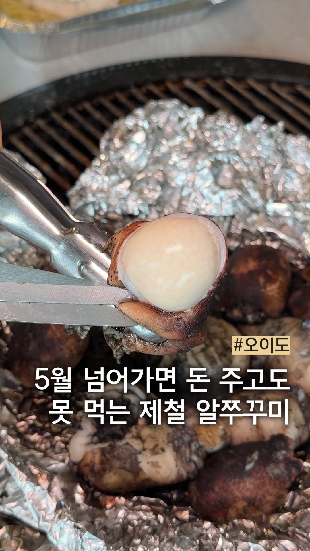 muck_peach_ 게시물 이미지: ::5월 되면 돈 줘도 못 먹는다는 알쭈

지금 시기에 알이 가장 가득 차 꼭...