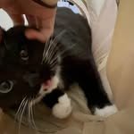 m_mkkow3 프로필 사진