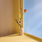 mustsee_mustgo 프로필 사진