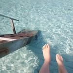 tastly_travel 프로필 사진