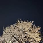 yunni_yami 프로필 사진