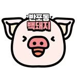 banpo_pig 프로필 사진
