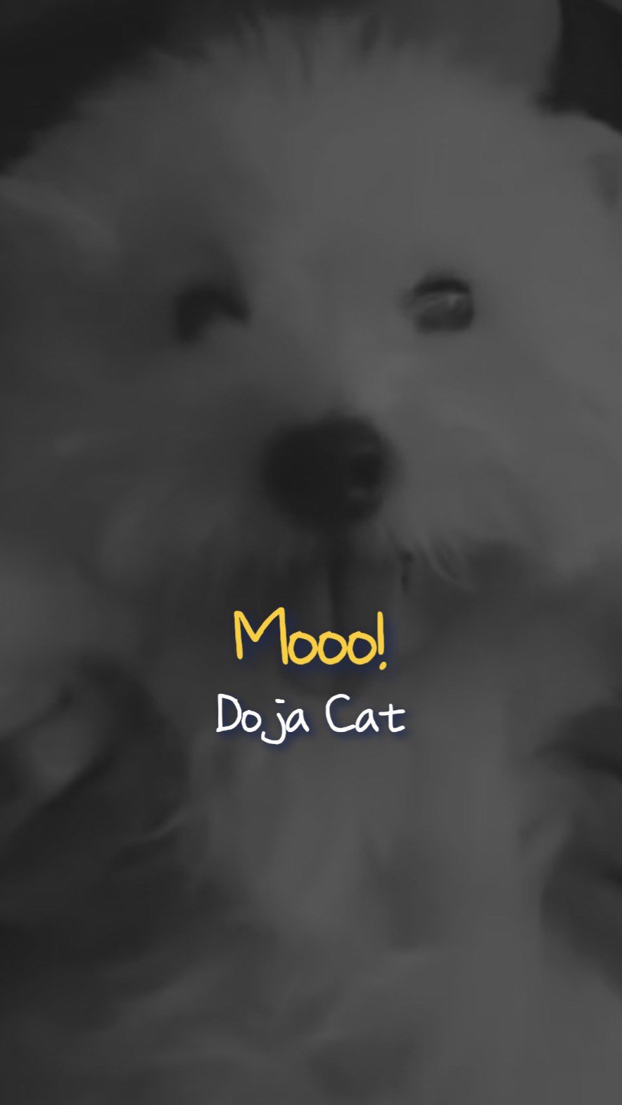 muffing.playlist 게시물 이미지: 인형같은 갱얼쥐 졸귀야 🧸

🎧 Doja Cat - Mooo!
🎥...