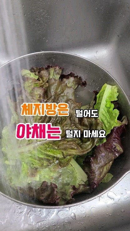 mug_bayou 게시물 이미지: 건강 위해, 다이어트를 위해 야채,과일은 필수!
그런데,
야채 씻어서 하나하나...