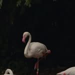 yejinmoon_ 프로필 사진