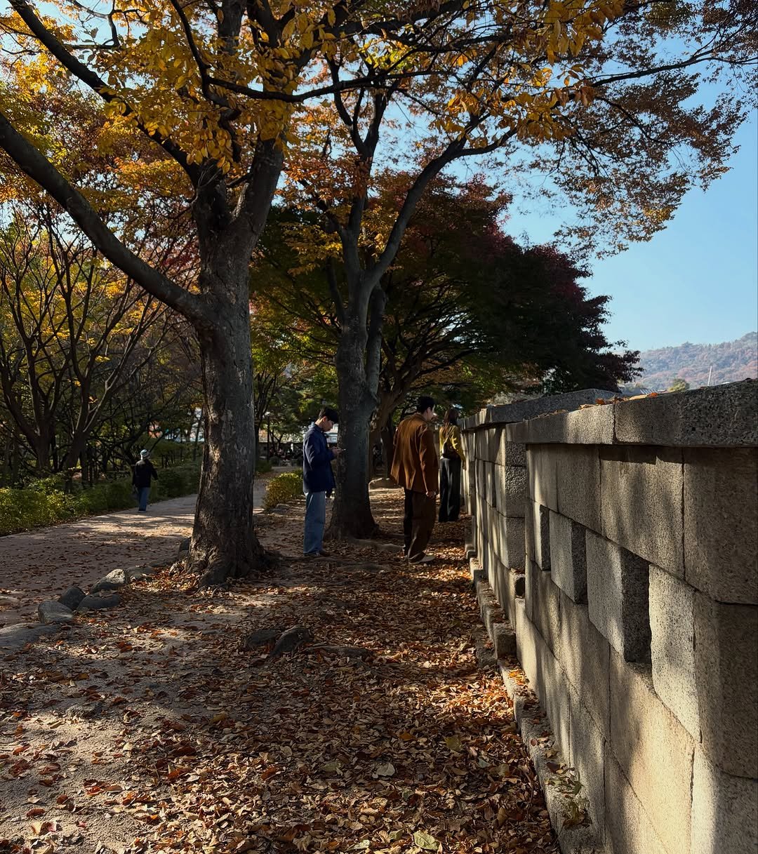 Photo shared by MUGUASU 무과수 on November 12, 2025 tagging @awakeyes, @lanjuan12, and @puresopure. May be an image of text.