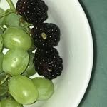 muguasu 인스타그램 프로필 사진