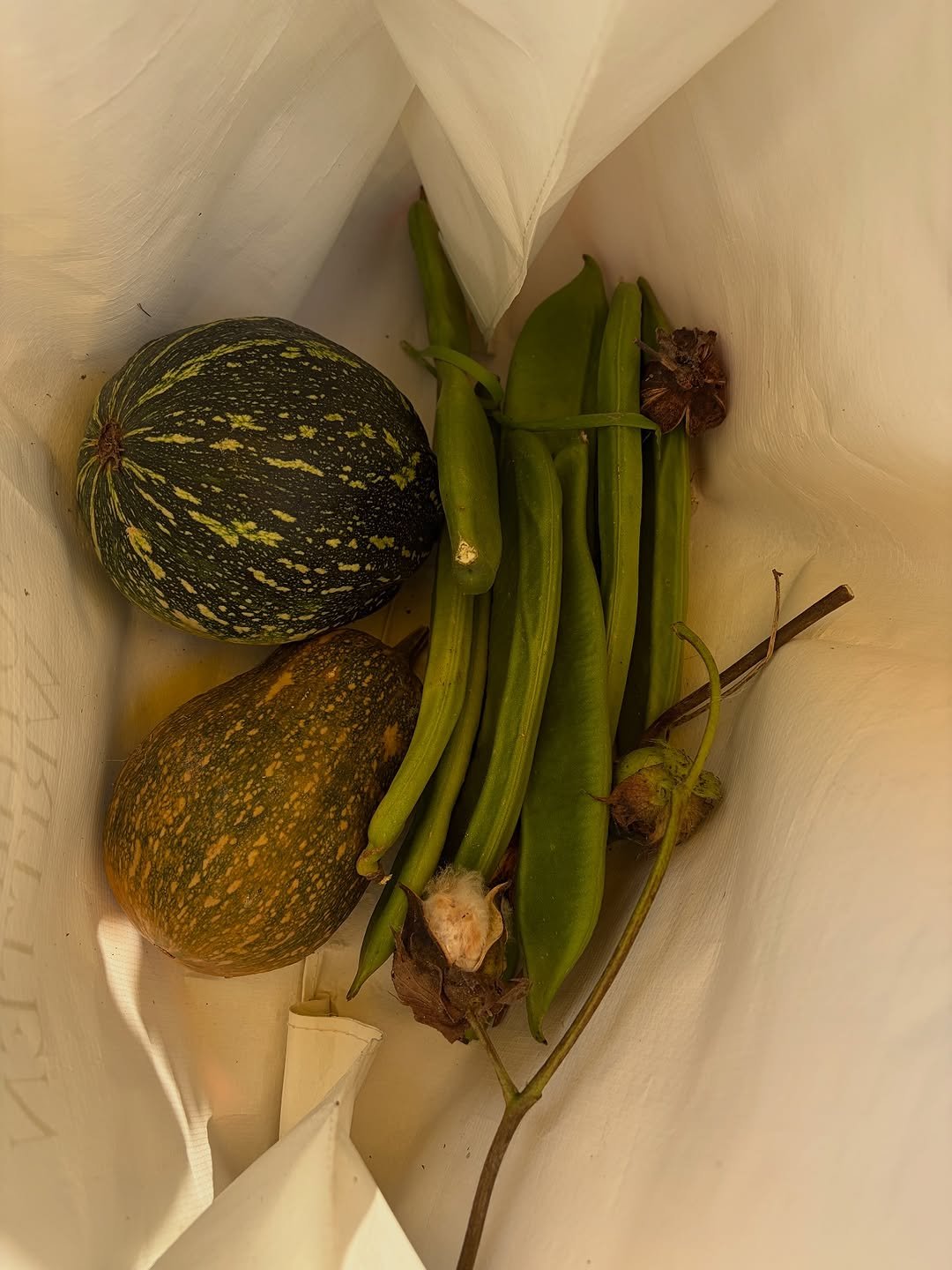 Photo shared by MUGUASU 무과수 on November 02, 2025 tagging @seongseonan. May be an image of plastic bag, green beans, gourd and text.