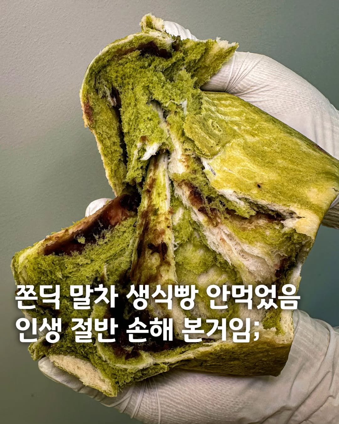 Photo by 먹은정 [서울맛집 / 경기맛집 / 홍대맛집] on September 19, 2025. May be an image of lizard and text that says '쫀닥 말차 생식빵 안먹었음 인생 절반 손해 본거임;'.