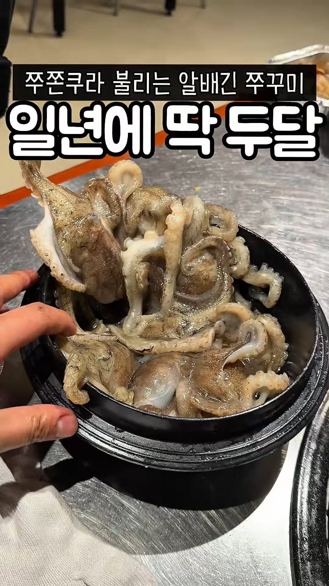 muk_tteul 게시물 이미지: 1년에 딱 2달만 먹을 수 있는
수족관에서 바로 꺼낸 봄 제철 산쭈꾸미,,
꽉 찬...