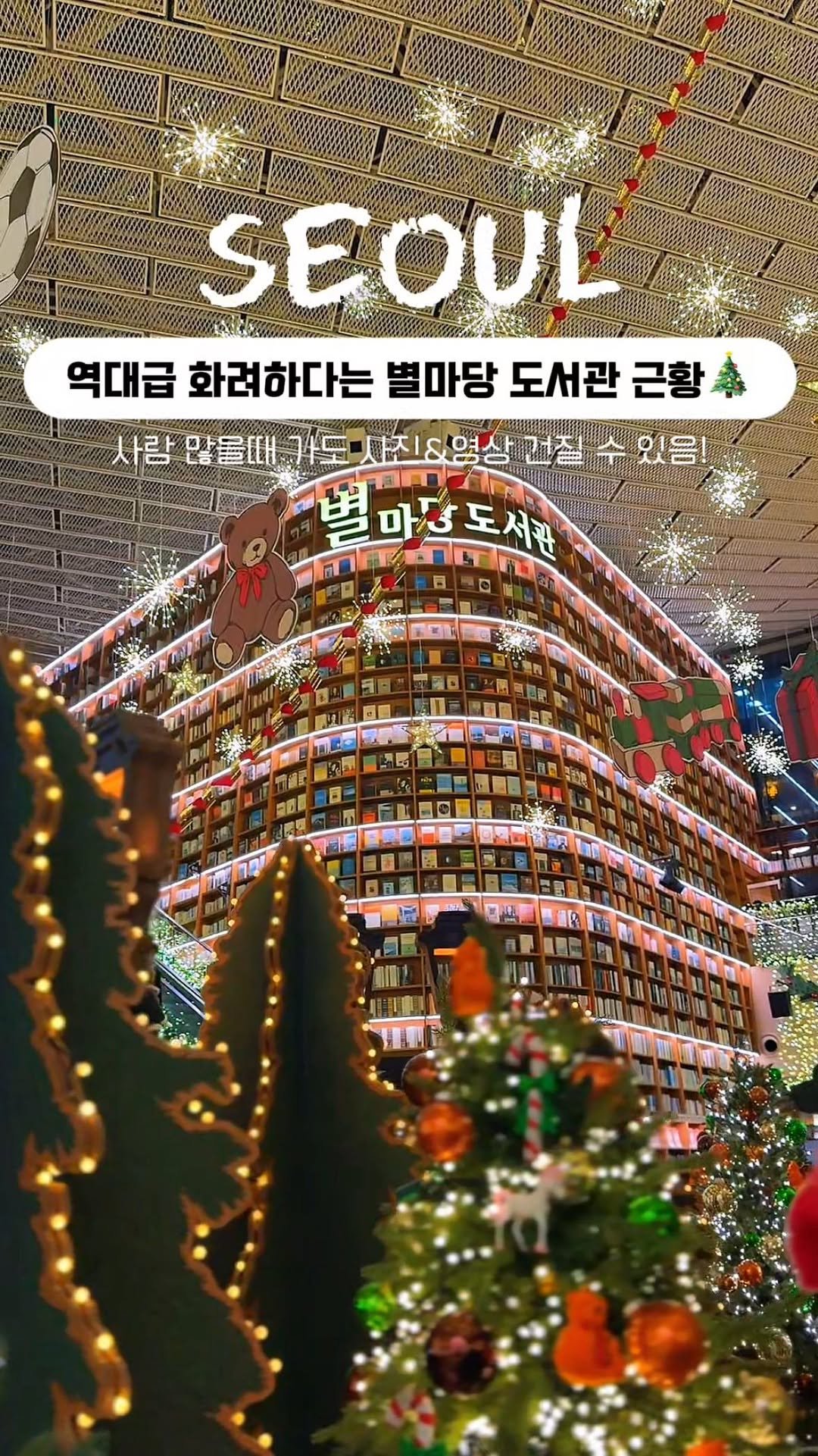 mukbbo_date 게시물 이미지: 가장 최신 근황 들고왔어요🎄✨

별마당 도서관이 이번이...