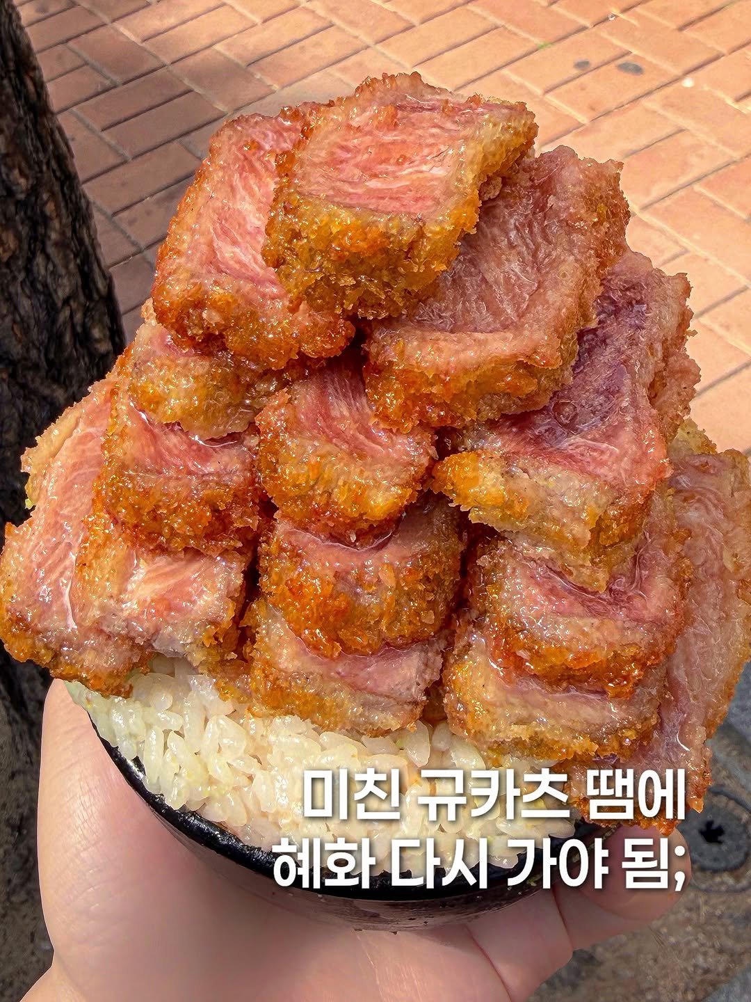 Photo by 먹지니 l 전국맛집투어👼🏻 on April 25, 2026. May be an image of steak, meatloaf, pork, cutlet and text that says '미친규카츠땜에 미친 규카츠 땜에 혜화 다시 혜화다시가야됨; 가야 됨;'.