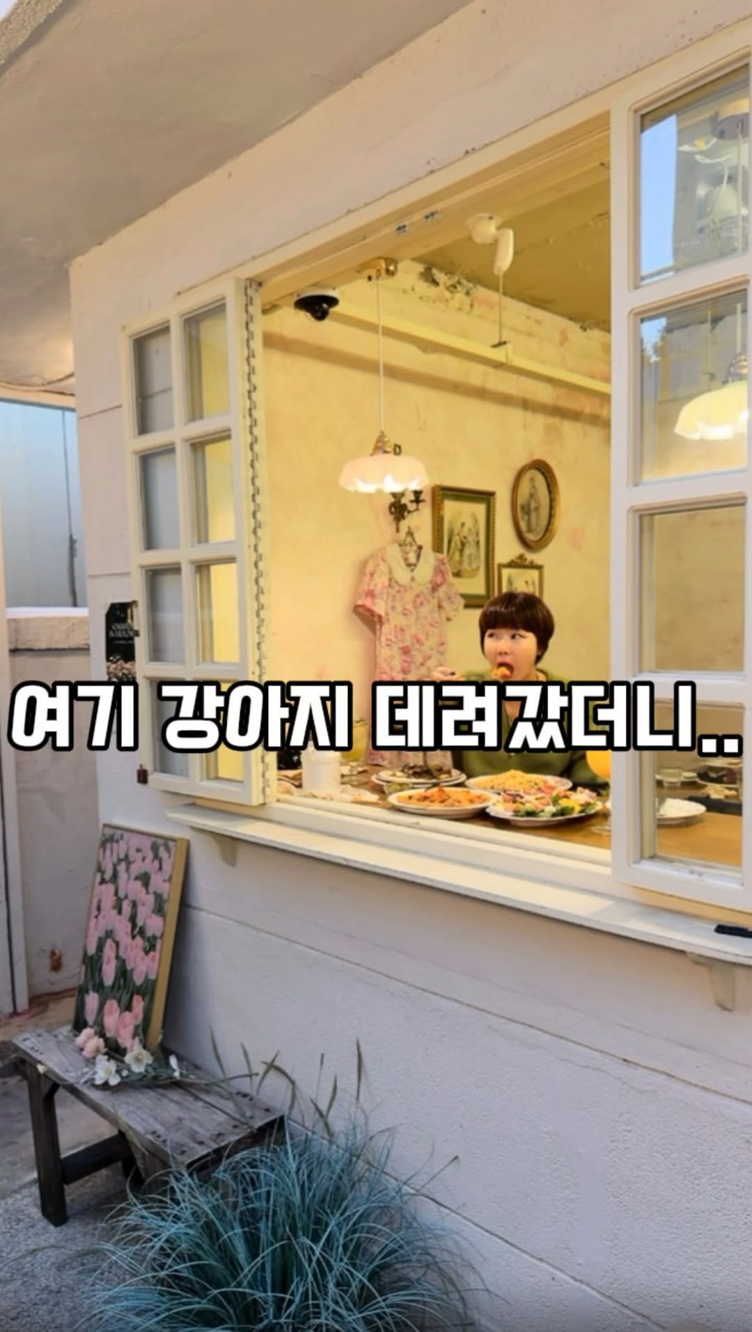 mukkmee 게시물 이미지: 전포동 조용한 골목 안,
특별한 손님을 오늘은 데리고 왔어요 ㅋ
햇살이 스며드는...