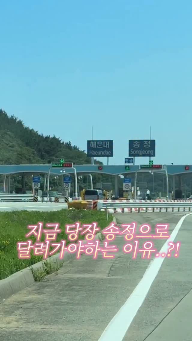 muko_die 게시물 이미지: 지금 당장 송정으로 달려가야하는 이유..?!

제 친구가 여름에 진짜 꼭 데리고...