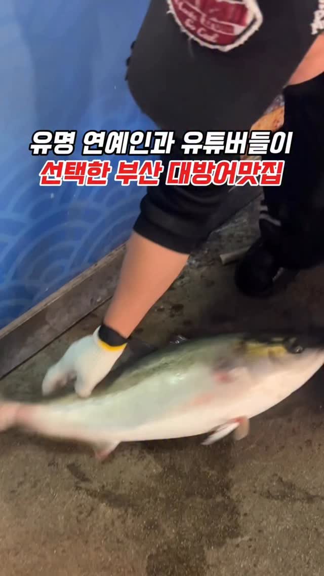 muko_die 게시물 이미지: 유명 연예인과 유튜버가 인정한 부산 대방어맛집

와~저 싱싱함 보이시나요?!
진짜...