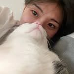 grryumcook 프로필 사진