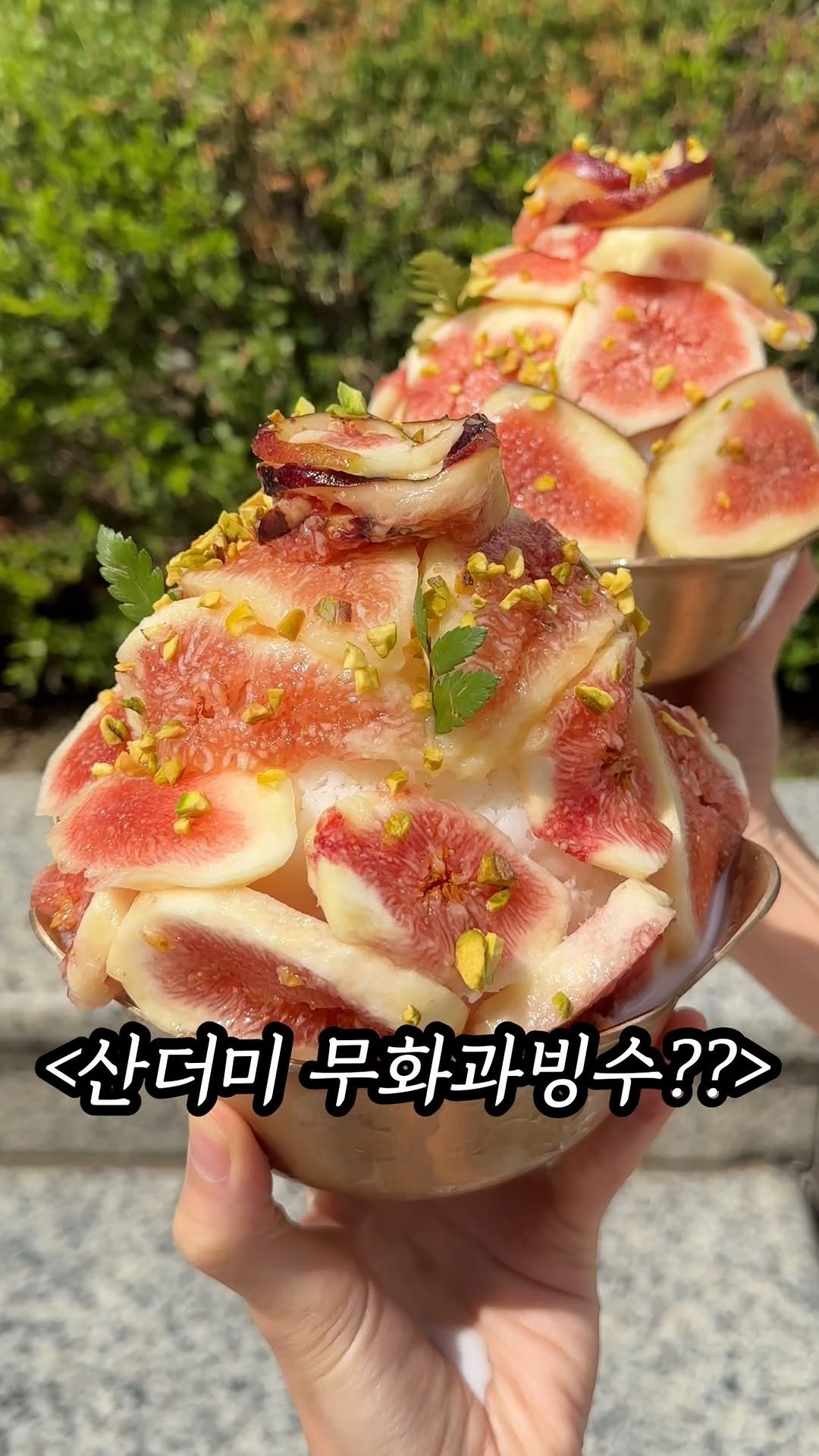 mukpresident 게시물 이미지: [당장저장] 지금 안먹으면 1년 대기타야함..

무화과를 이렇게 많이 올려주는...