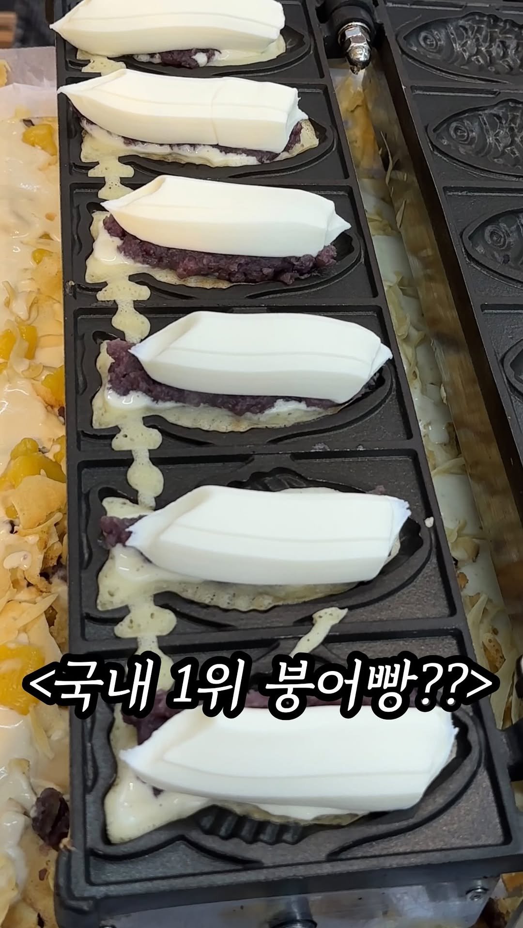 mukpresident 게시물 이미지: @붕친자 소환

붕어빵에 들어가는 팥, 슈크림 양 실화인가요? 이정도면 팥을 싸는거...