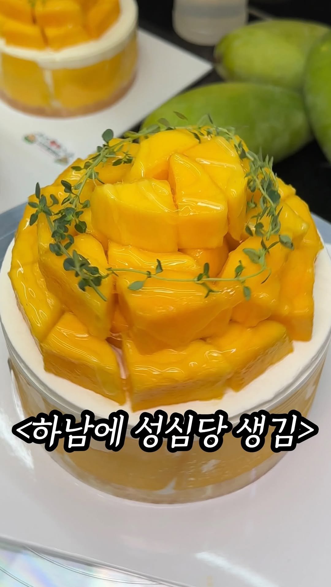 mukpresident 게시물 이미지: 하남에 성심당 생김;;;

와.. 드디어 성심당 이기는 케이크집이 생겼습니다.....