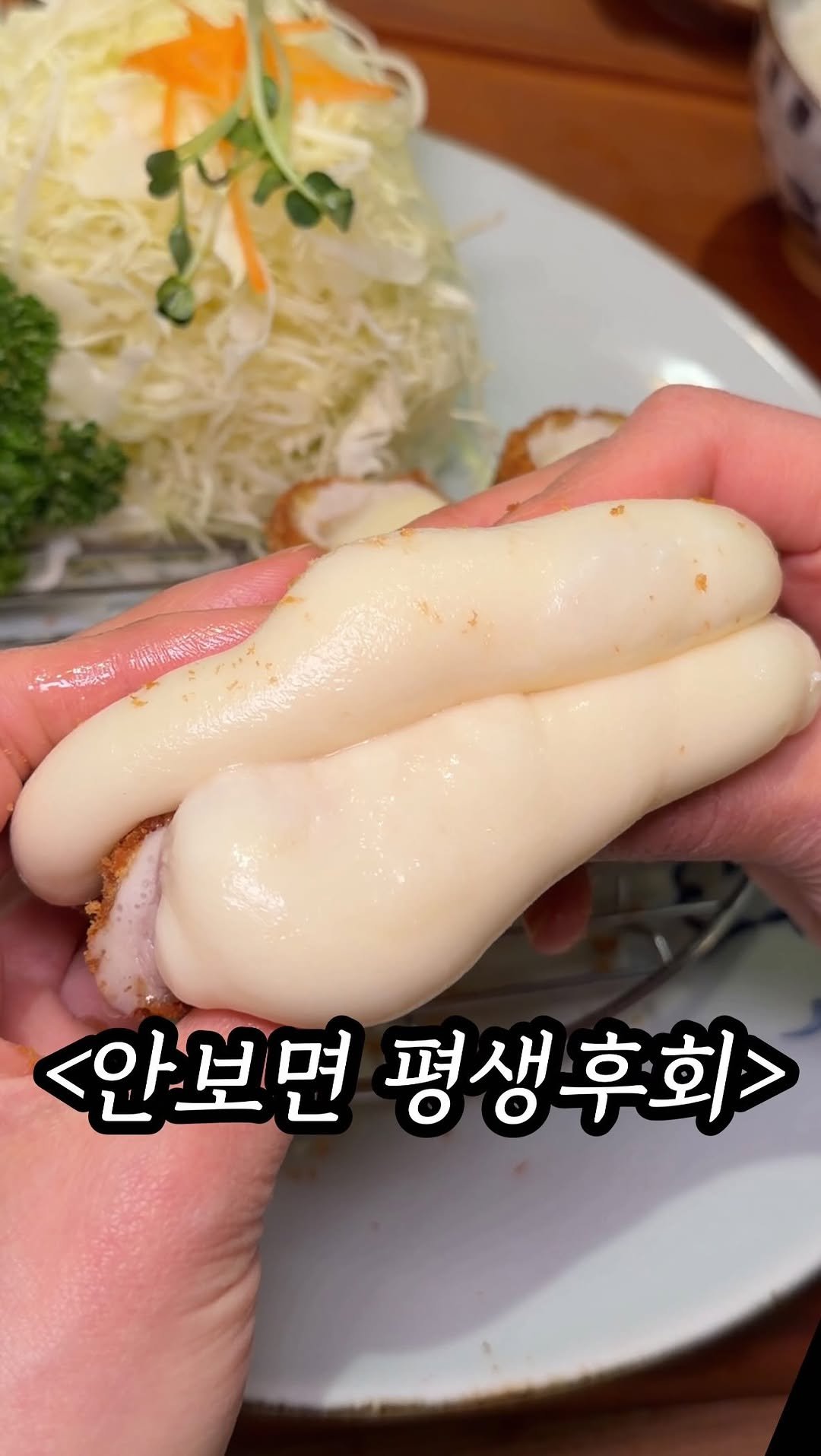 mukpresident 게시물 이미지: 연돈, 톤쇼우 이제 안녕이다..

아마 돈카츠 좋아하는 남친이라면 무조건 알고 있을...