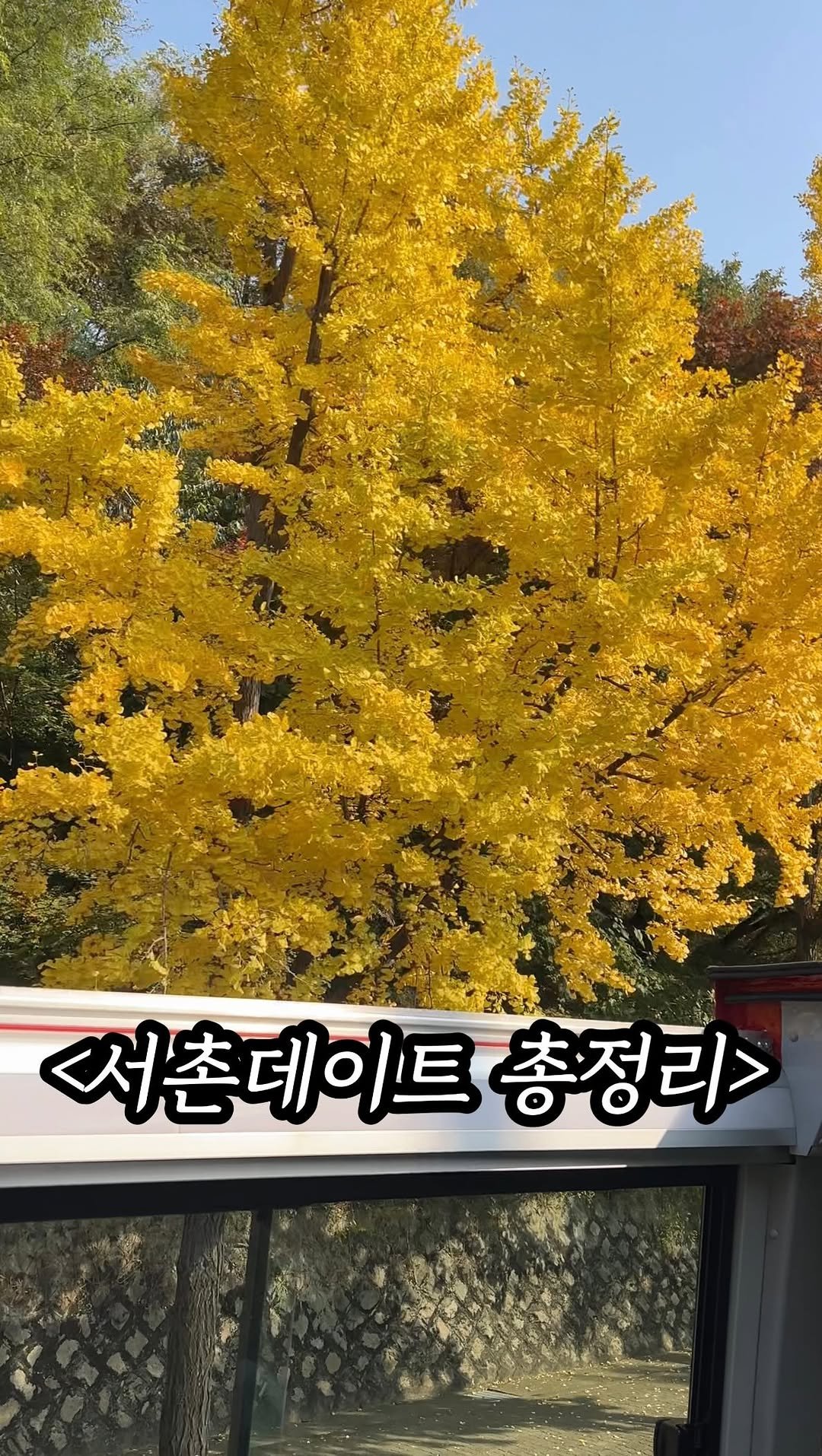 mukpresident 게시물 이미지: 💌댓글에 ‘데이트’ 달고 서촌데이트코스 100곳 모음집...