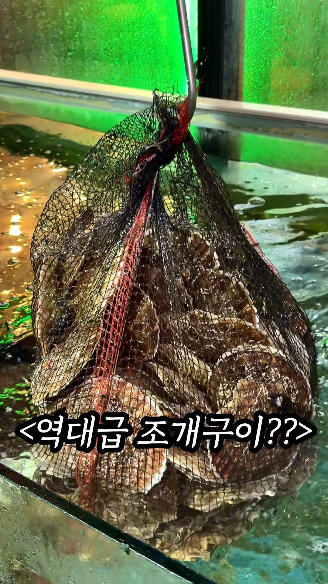 mukpresident 게시물 이미지: 서울 딱 1시간 거리에 이런곳이??

여러분.. 조개구이집 여기로 종결이에요.....