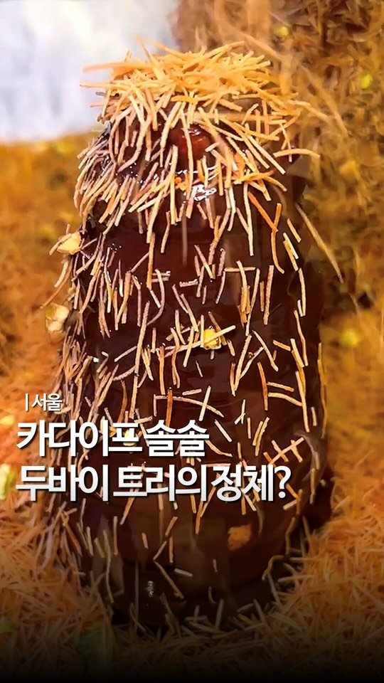 mukstar_md 게시물 이미지: 두바이러버 @@

소라빵을 꼿꼿이 세우고
세계 3대 초콜릿인 기라
델리 초콜릿을...