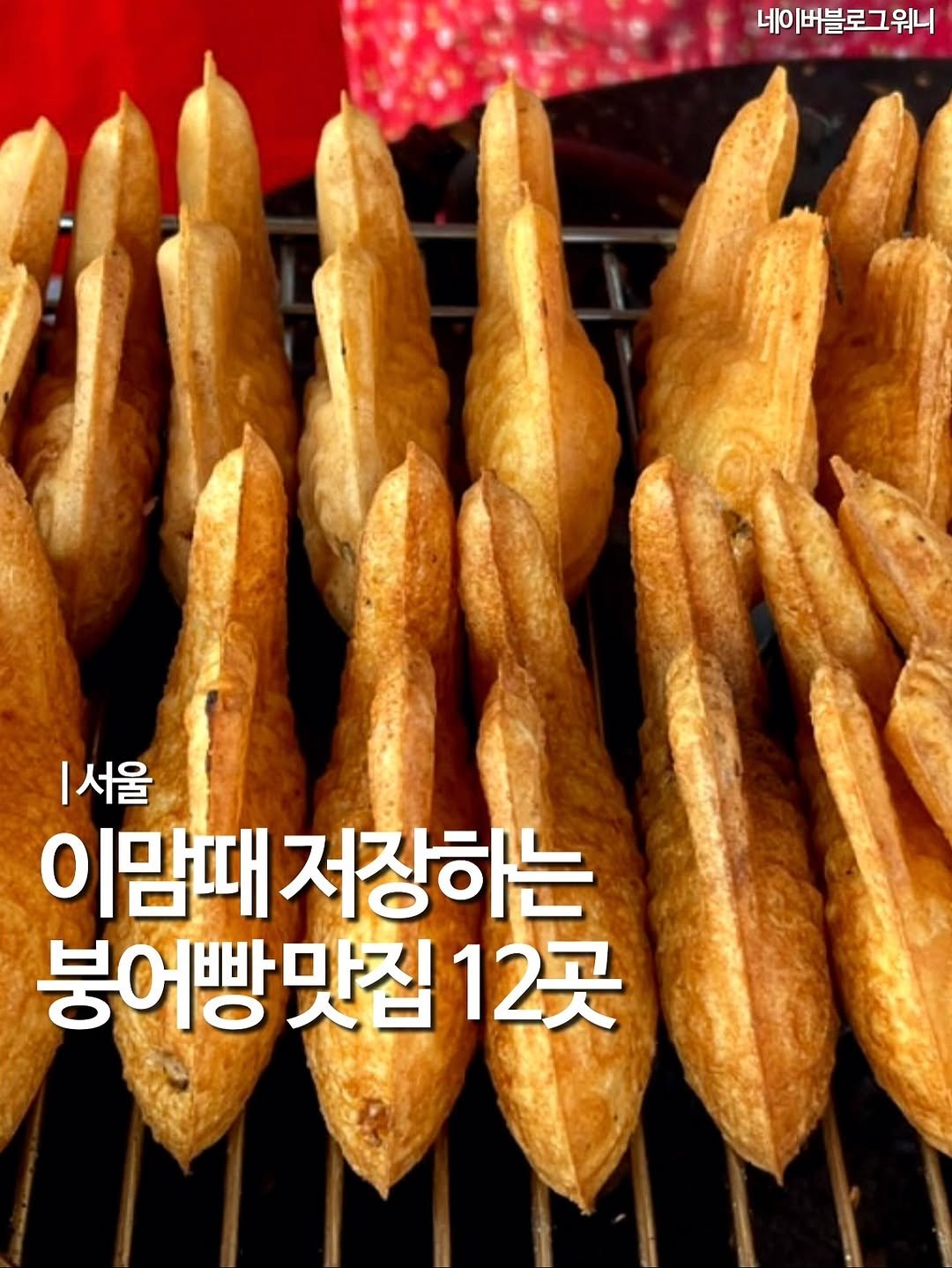 Photo shared by 엠디 | 서울맛집•경기맛집 / 가끔 제주✈️ on November 01, 2025 tagging @mukstar_md. May be an image of breadstick, french fries, fritter and text that says '네 네이버블로그워니 버블로그 워니 서울 이맘때 저장하는 붕어빵맛집1 12곳'.