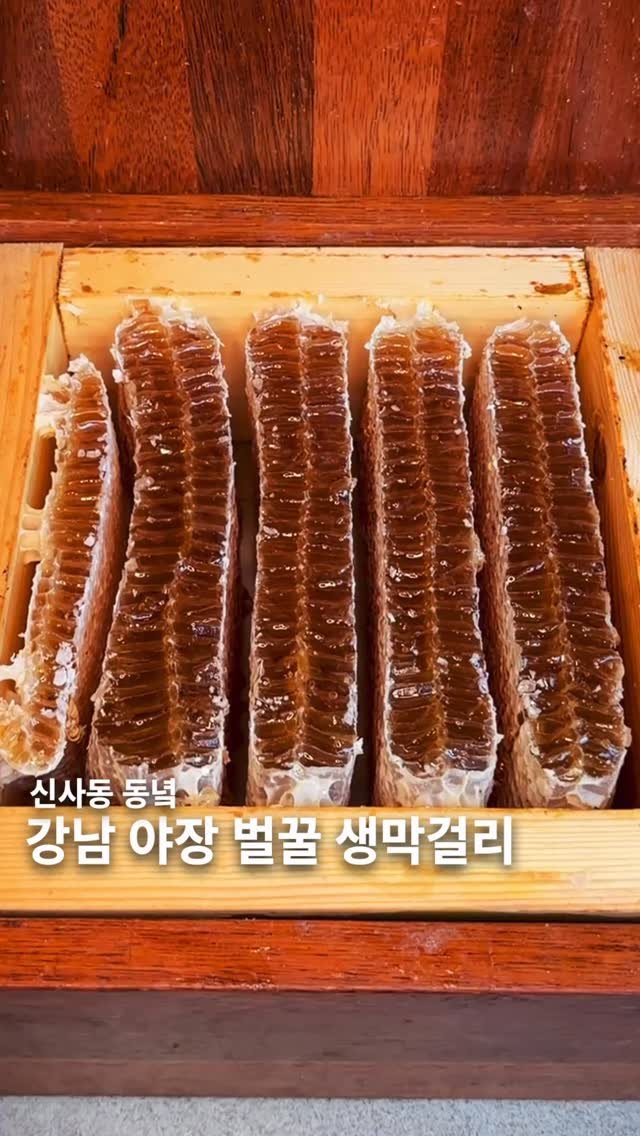 muksunsaeng 게시물 이미지: [20만원 식사권 이벤트] 가로수길 최고 핫플 야장 한식술집
-
신사동 가로수길에...