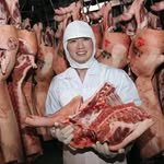 k_____pork 프로필 사진