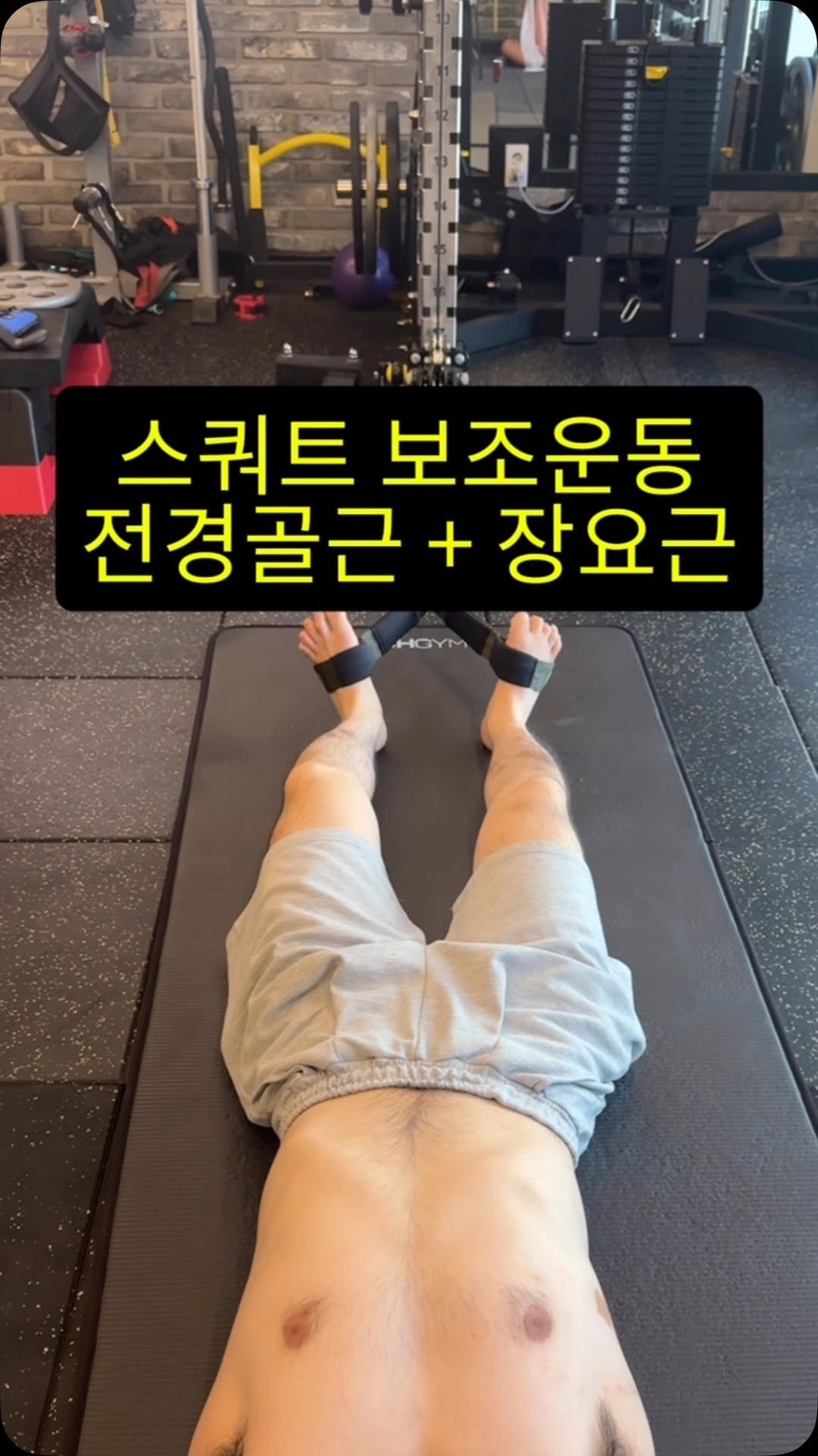 mulitness_kim 게시물 이미지: 케이블을 활용한 전경골근 및 장요근 훈련
스쿼트 협력근들 훈련을 위한 최적의...