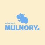 mulnory 인스타그램 프로필 사진