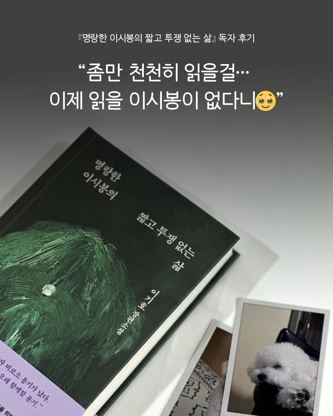 Photo by 문학동네 공식 인스타그램 on August 16, 2025. May be an image of book and text that says '명랑한 이시봉의 짧고 투쟁 없는 삶』 독자 독자후기 후기 후기 "좀만 천천히 읽을걸.. 이제 읽을 이시봉이 없다니 이시용의 양방향 시본의 짧고투쟁없는 盆 f예브의 을 神下風の社 駐学極.に 限空 자미로소용기가났다. 오래 제리부자스조 비로소 함께할 함께할용기.' ፀሁንም 용기." 났다. 용기가'.