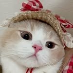 dal.kong_gram 프로필 사진