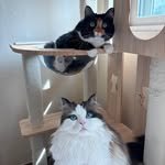 munji_cozy 인스타그램 프로필 사진