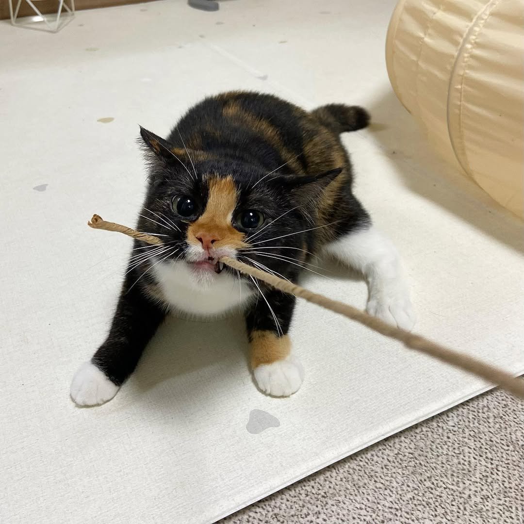 Photo by 황 먼지&코지 on August 27, 2023.