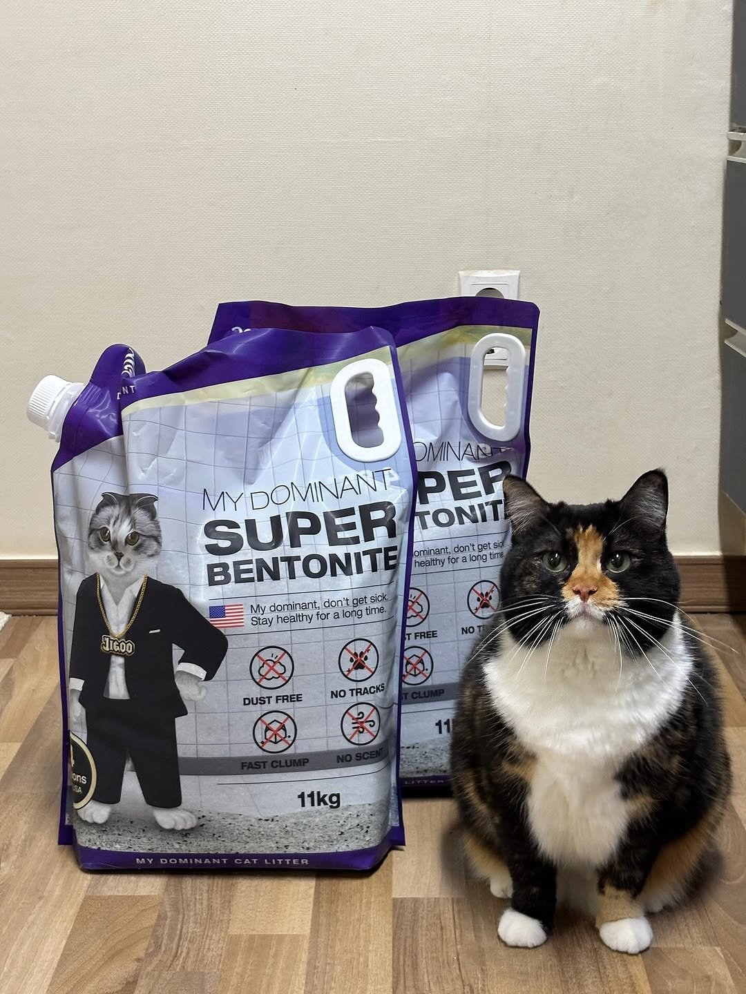 Photo shared by 황 먼지&코지 on March 24, 2026 tagging @my_dominant_cats, and @mydominant_official. May be an image of kitten, tortoiseshell cat, petfood and text that says '00 DMINAR MYDOMINANT O0 MYDOMINANTPEF MY SUPER TONITI PER BENTONITE minamt, getsio BENTONITE healthy for longim Mydoninent,donitgat.ick My dominent, don'tge Stay heelthy for along ረ LIGOO FREE NO DUST FREE NO TRACK 11kg'.