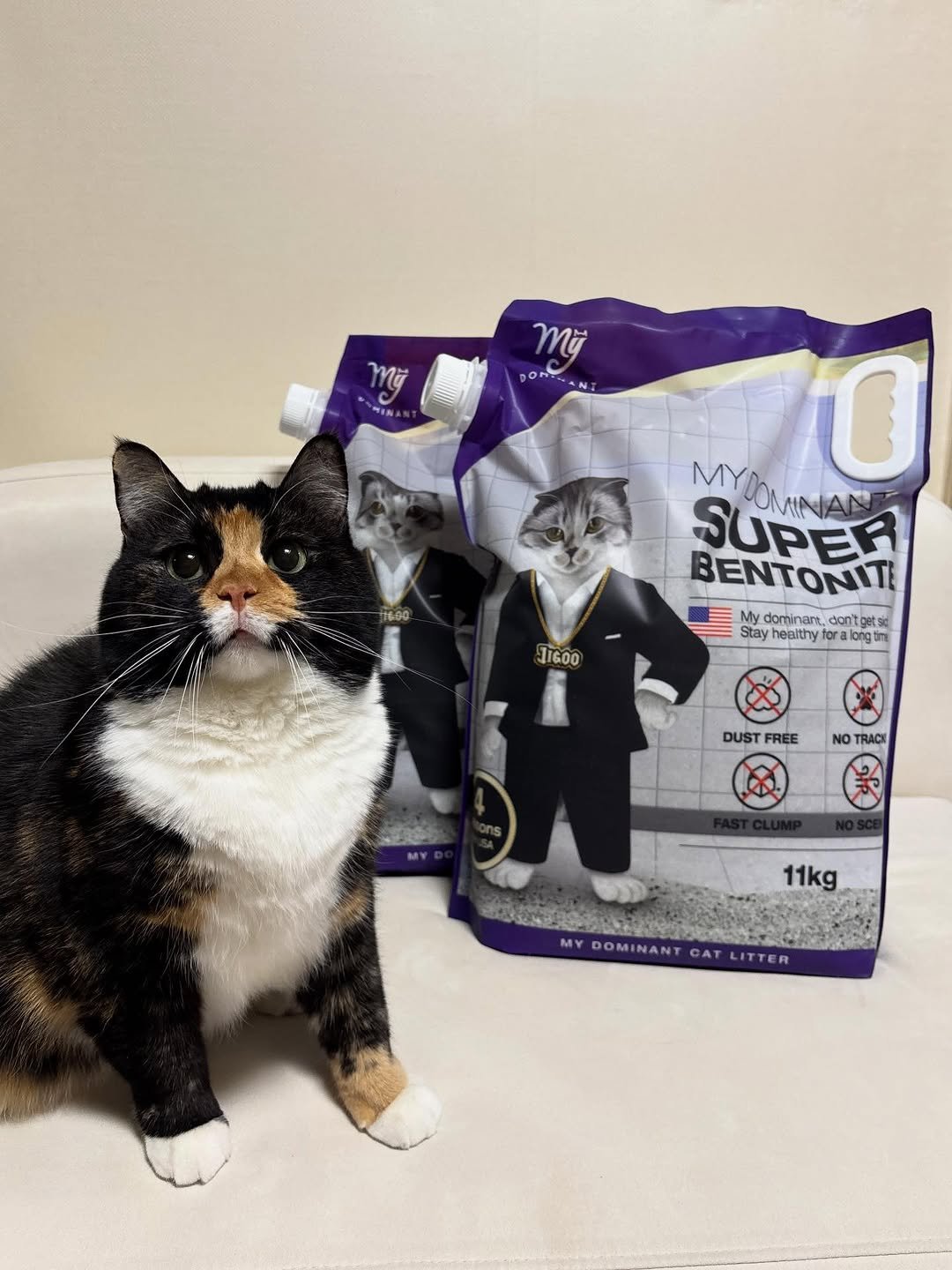 Photo shared by 황 먼지&코지 on December 24, 2025 tagging @my_dominant_cats, and @mydominant_official. May be an image of kitten, tortoiseshell cat, petfood and text that says 'Mỹ My DORTMAN on ORT MO O MYDOMINAN SUPER BENTONITI My dominar.. dan'to son'tget.sic etsic Stay healthy ora longm 11600 DUST FREE NO TRACK 11kg w MY DOMINANT CAT LITTER'.