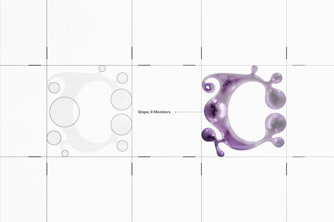 Photo shared by MUON on February 02, 2026 tagging @cravity_official. May be an illustration of text that says 'Grape,9Members Grape, Members'.