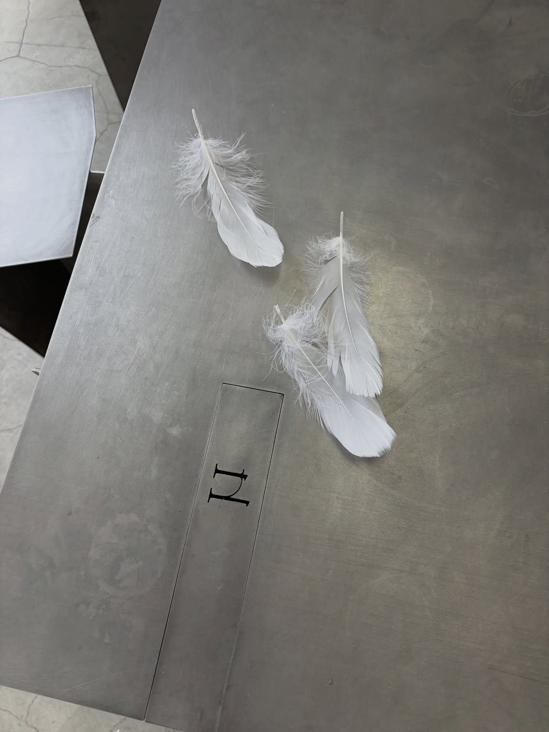 Photo by MUON on April 01, 2026. May be an image of text.