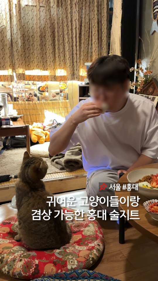murger_king_ 게시물 이미지: 귀여운 고양이랑 놀 수 있는 한식 주점 📌저장하세요

3마리 귀욤 냥이들과 놀 수...