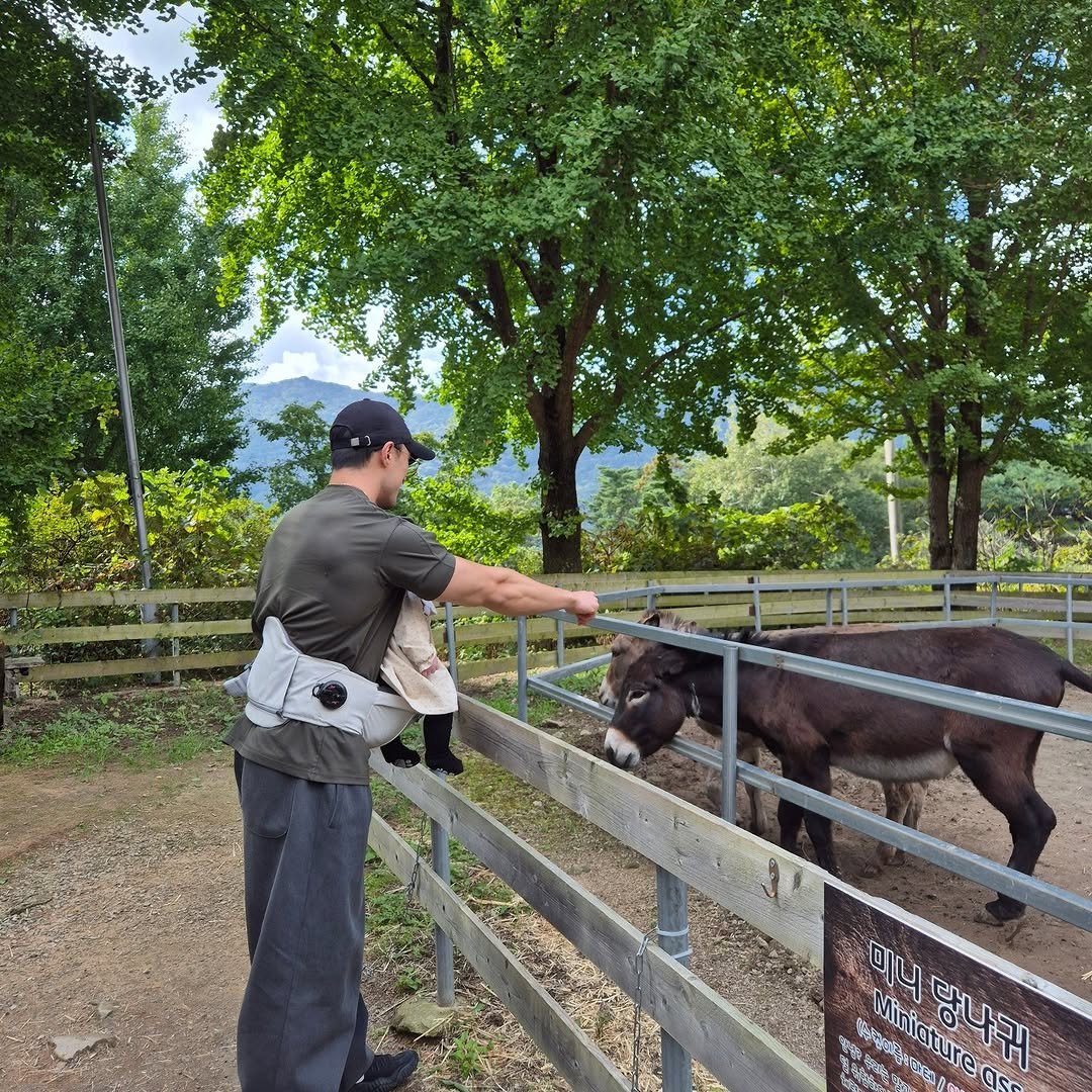 Photo shared by 상체충 좌용관 / 광주PT🌐 on October 25, 2025 tagging @ming_u91. May be an image of donkey and text.